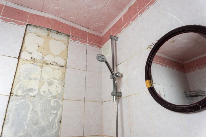 Shower Remodelers detail